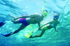 Cabo San Lucas Snorkeling cruise excursion